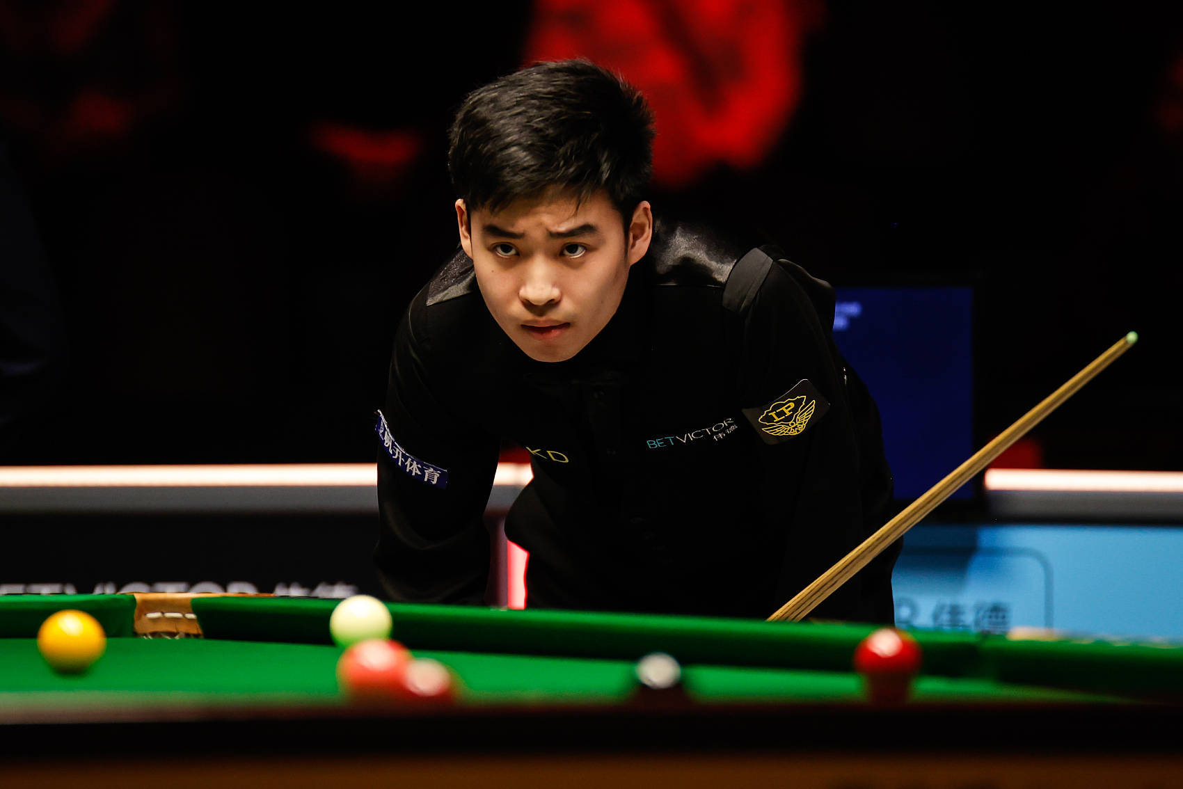 吸引了众多 吸引了众多