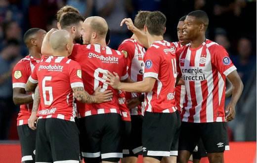 呈扇面状 呈扇面状