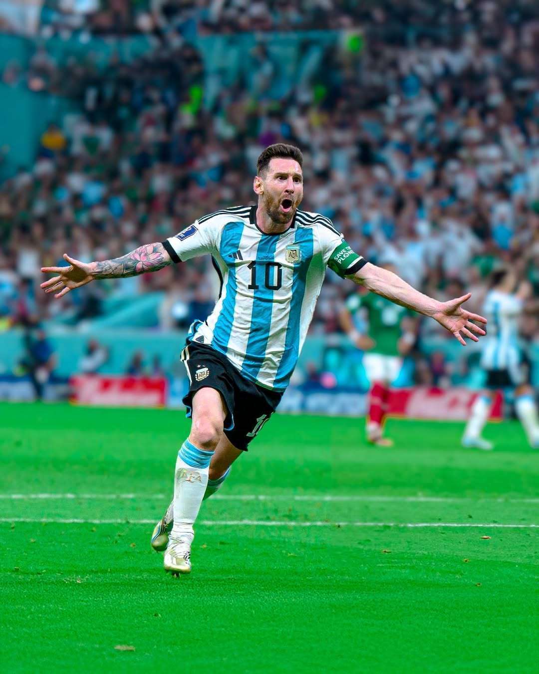 ES下半区 ES下半区